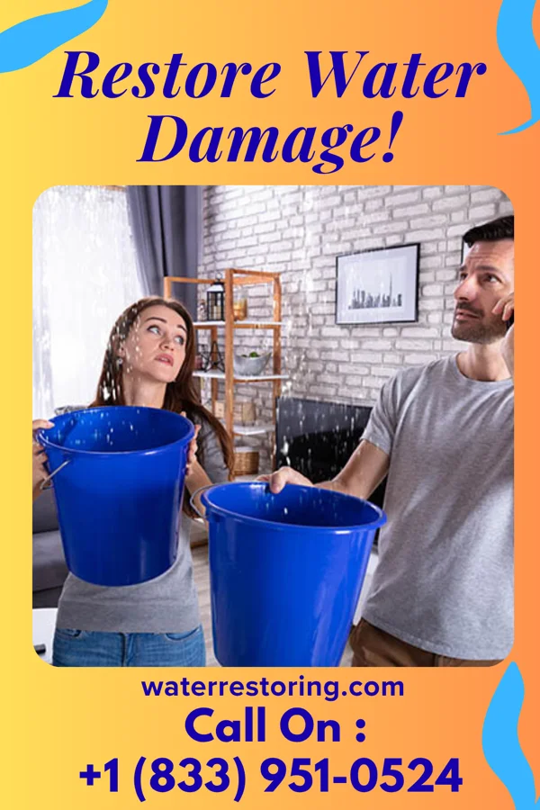 water restoration Capital Disaster Cleanup Authority Woodbourne