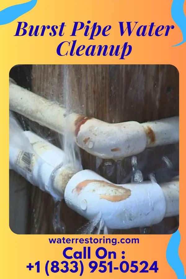 Burst Pipe Water Cleanup in Woodbourne, PA