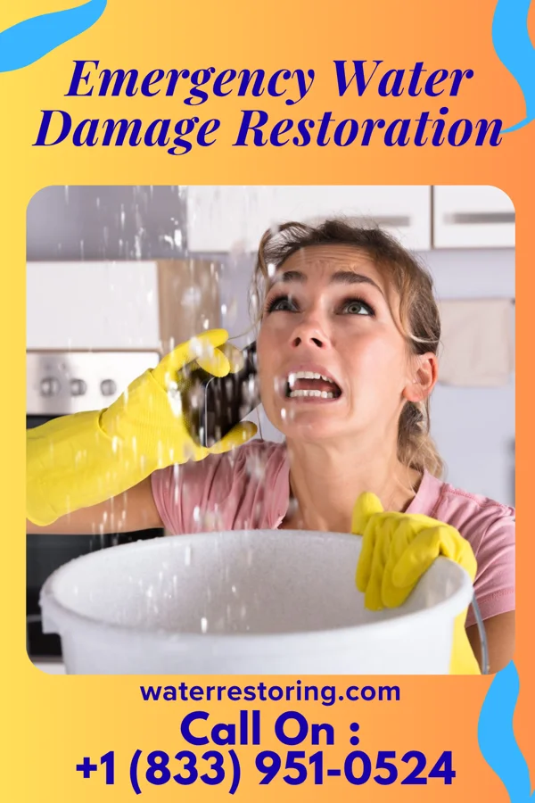 Emergency Water Damage Restoration in Woodbourne, PA