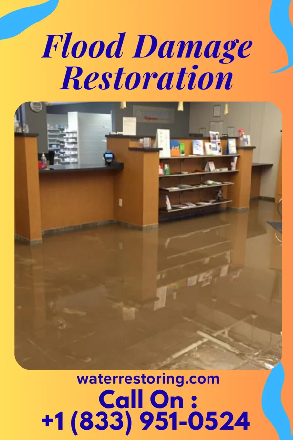 Flood Damage Restoration in Woodbourne, PA