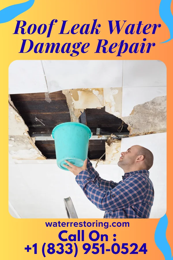 Roof Leak Water Damage Repair in Woodbourne, PA