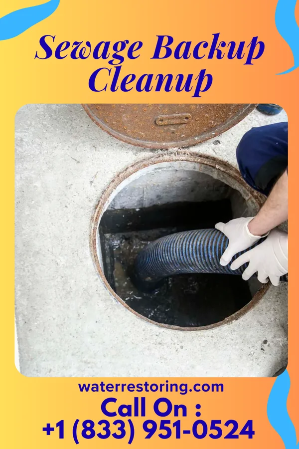Sewage Backup Cleanup in Woodbourne, PA