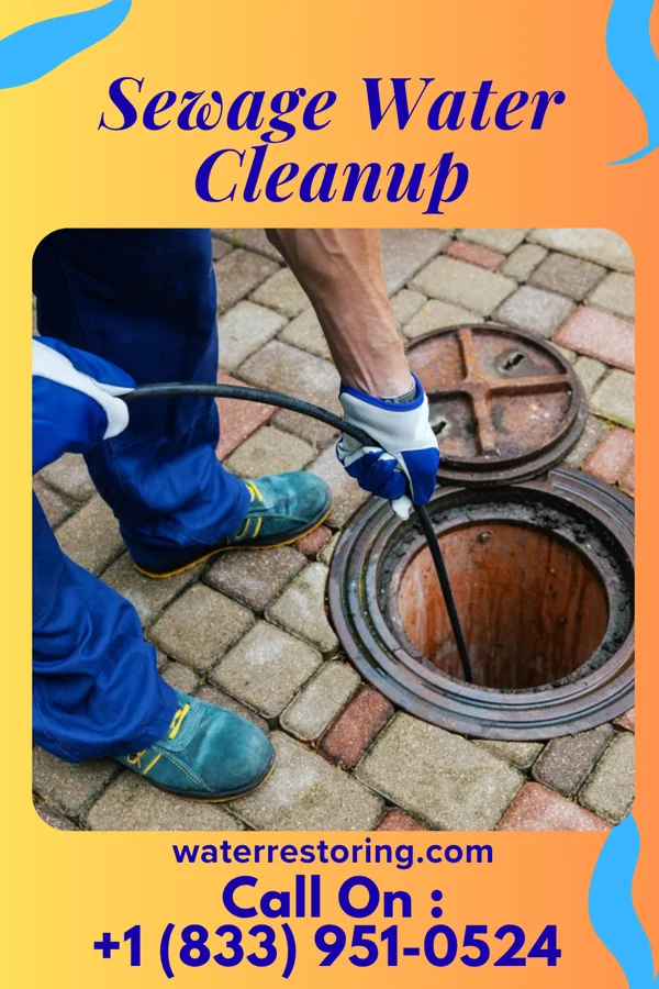 Sewage Water Cleanup in Woodbourne, PA