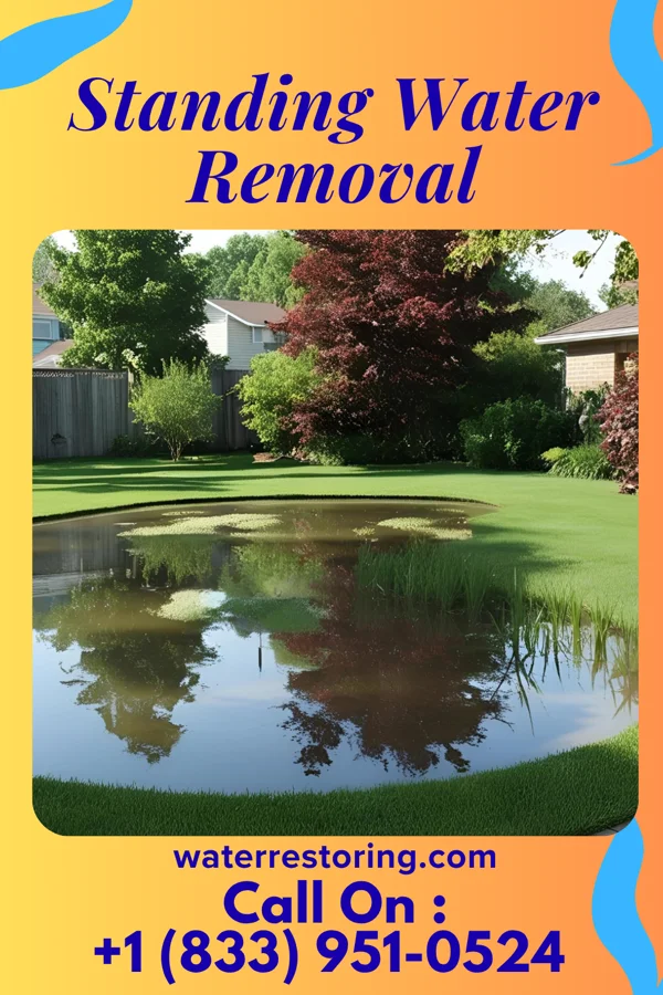 Standing Water Removal in Woodbourne, PA